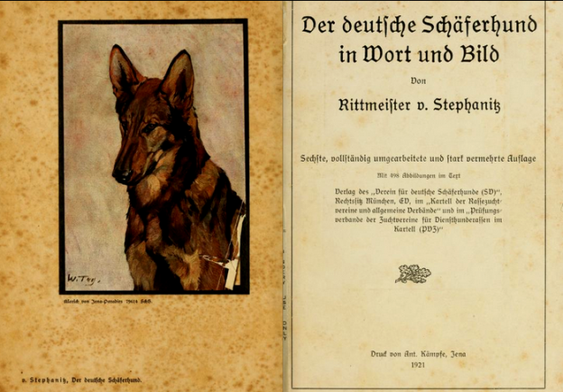 perros pastor alemán
